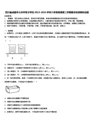 四川省成都市七中学育才学校2023-2024学年八年级物理第二学期期末检测模拟试题含解析.doc