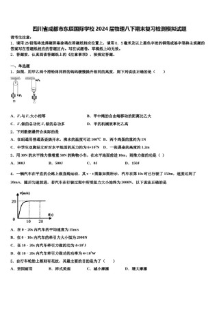四川省成都市东辰国际学校2024届物理八下期末复习检测模拟试题含解析.doc