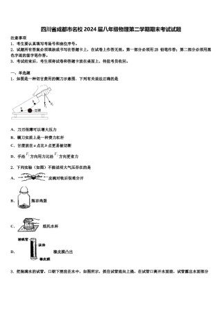 四川省成都市名校2024届八年级物理第二学期期末考试试题含解析.doc