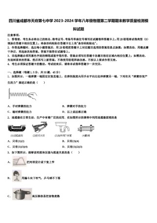 四川省成都市天府第七中学2023-2024学年八年级物理第二学期期末教学质量检测模拟试题含解析.doc