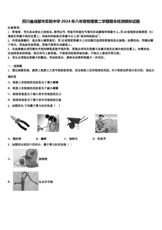 四川省成都市实验中学2024年八年级物理第二学期期末检测模拟试题含解析.doc
