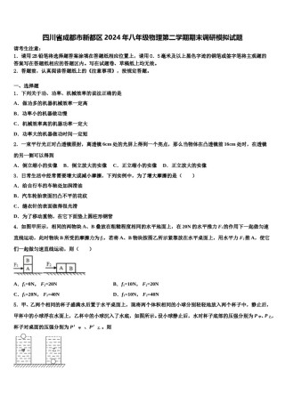 四川省成都市新都区2024年八年级物理第二学期期末调研模拟试题含解析.doc