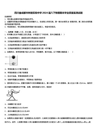 四川省成都市树德实验中学2024届八下物理期末学业质量监测试题含解析.doc