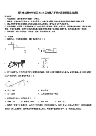 四川省成都市郫都区2024届物理八下期末质量跟踪监视试题含解析.doc