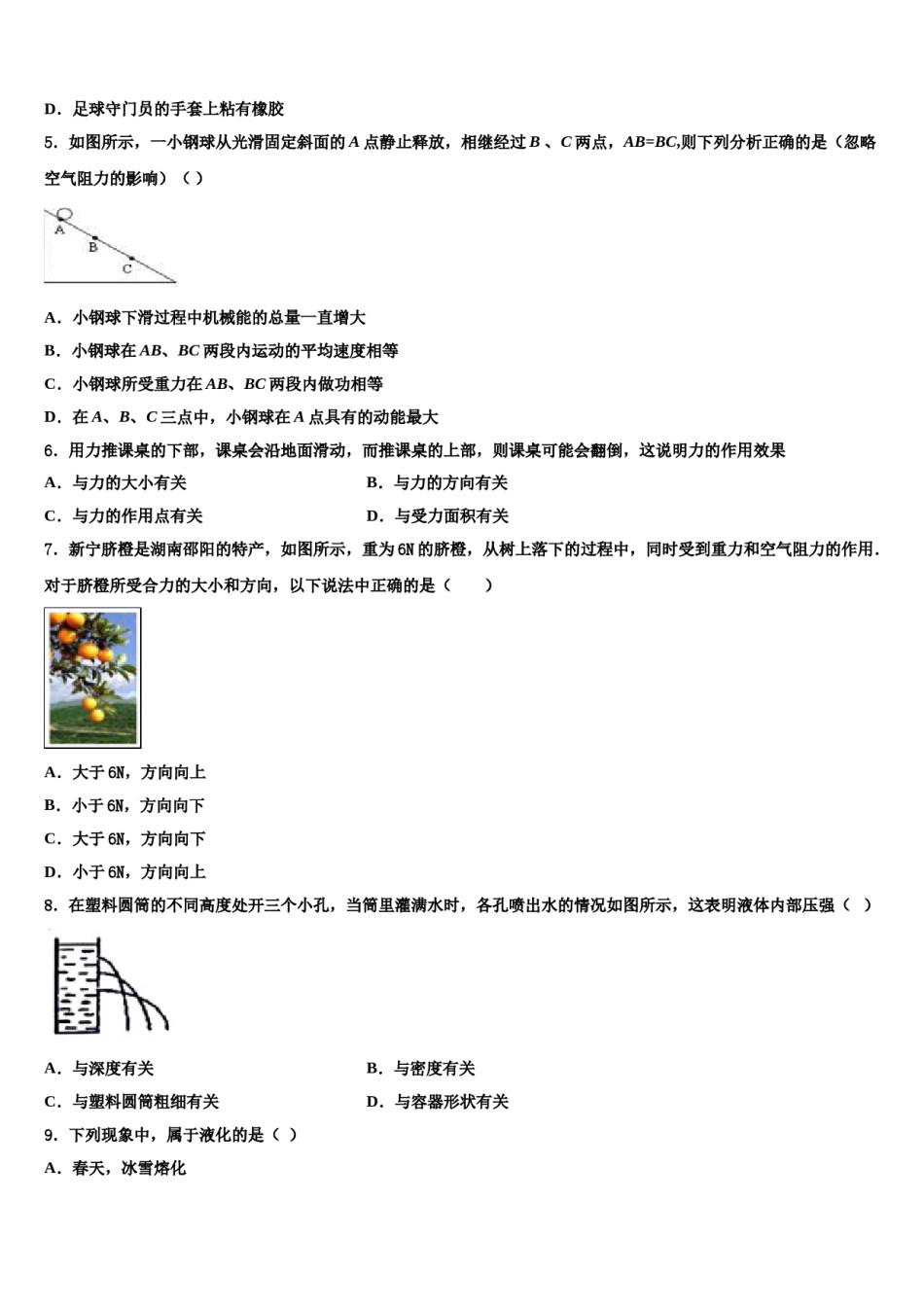四川省成都市高新南区2023-2024学年八年级物理第二学期期末质量跟踪监视试题含解析.doc_第2页