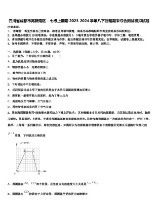 四川省成都市高新南区—七级上期期2023-2024学年八下物理期末综合测试模拟试题含解析.doc