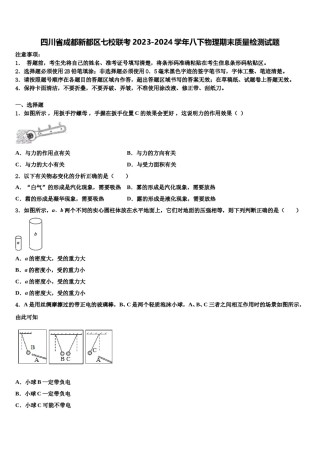 四川省成都新都区七校联考2023-2024学年八下物理期末质量检测试题含解析.doc
