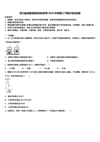 四川省成都高新区四校联考2024年物理八下期末考试试题含解析.doc