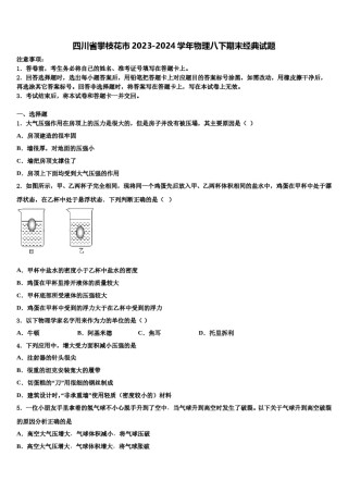 四川省攀枝花市2023-2024学年物理八下期末经典试题含解析.doc