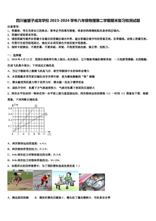 四川省望子成龙学校2023-2024学年八年级物理第二学期期末复习检测试题含解析.doc