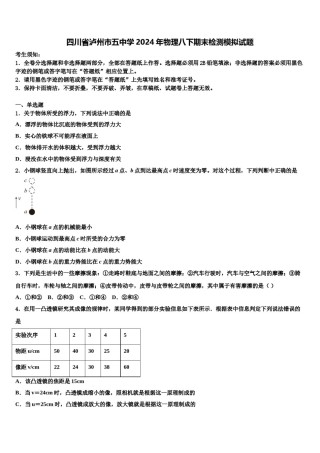 四川省泸州市五中学2024年物理八下期末检测模拟试题含解析.doc