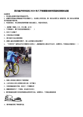 四川省泸州市名校2024年八下物理期末教学质量检测模拟试题含解析.doc