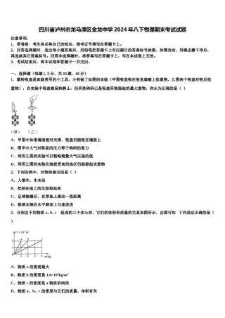四川省泸州市龙马潭区金龙中学2024年八下物理期末考试试题含解析.doc