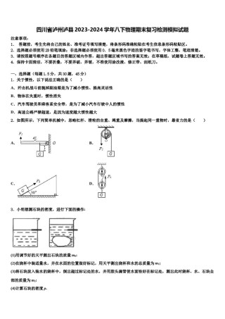 四川省泸州泸县2023-2024学年八下物理期末复习检测模拟试题含解析.doc