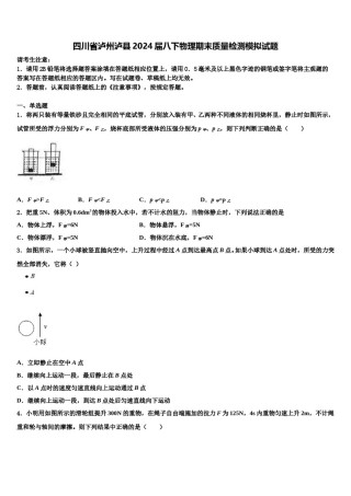四川省泸州泸县2024届八下物理期末质量检测模拟试题含解析.doc
