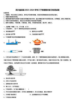 四川省渠县2023-2024学年八下物理期末复习检测试题含解析.doc