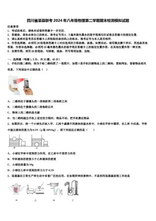四川省渠县联考2024年八年级物理第二学期期末检测模拟试题含解析.doc