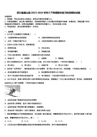 四川省眉山县2023-2024学年八下物理期末复习检测模拟试题含解析.doc