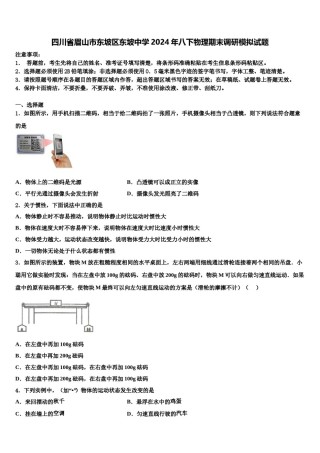 四川省眉山市东坡区东坡中学2024年八下物理期末调研模拟试题含解析.doc