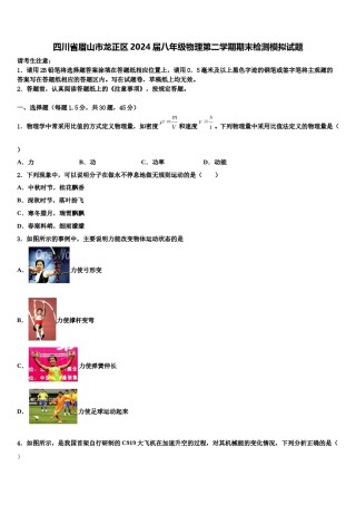 四川省眉山市龙正区2024届八年级物理第二学期期末检测模拟试题含解析.doc