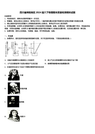四川省绵阳地区2024届八下物理期末质量检测模拟试题含解析.doc