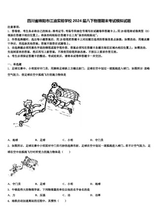 四川省绵阳市江油实验学校2024届八下物理期末考试模拟试题含解析.doc