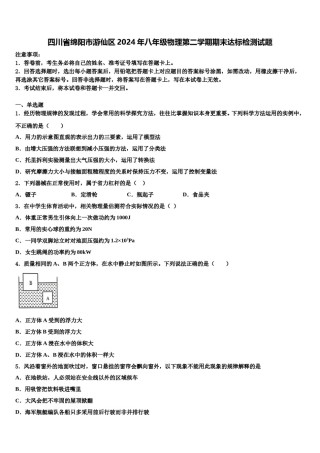 四川省绵阳市游仙区2024年八年级物理第二学期期末达标检测试题含解析.doc