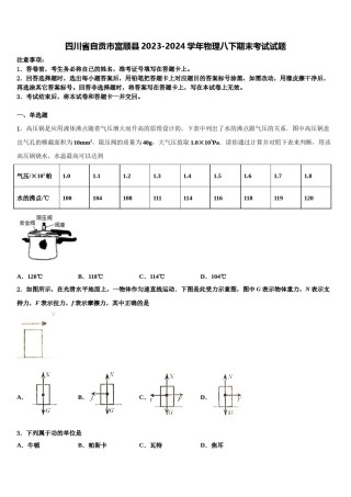 四川省自贡市富顺县2023-2024学年物理八下期末考试试题含解析.doc