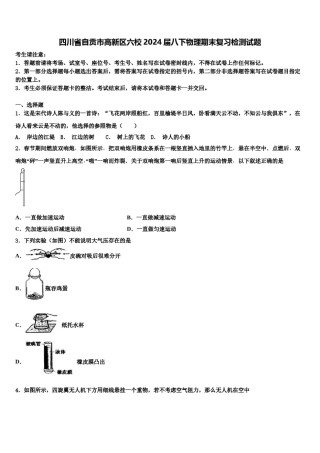 四川省自贡市高新区六校2024届八下物理期末复习检测试题含解析.doc