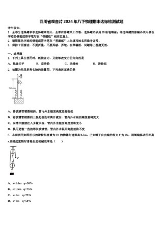 四川省观音片2024年八下物理期末达标检测试题含解析.doc