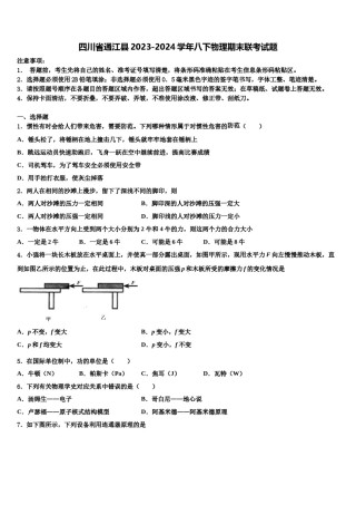 四川省通江县2023-2024学年八下物理期末联考试题含解析.doc