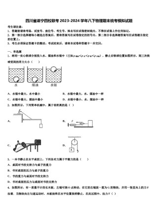 四川省遂宁四校联考2023-2024学年八下物理期末统考模拟试题含解析.doc