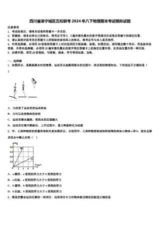 四川省遂宁城区五校联考2024年八下物理期末考试模拟试题含解析.doc