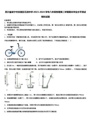 四川省遂宁市安居区石洞中学2023-2024学年八年级物理第二学期期末学业水平测试模拟试题含解析.doc