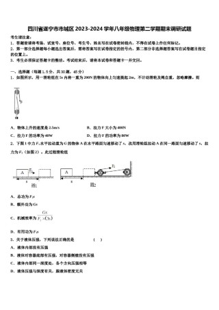 四川省遂宁市市城区2023-2024学年八年级物理第二学期期末调研试题含解析.doc