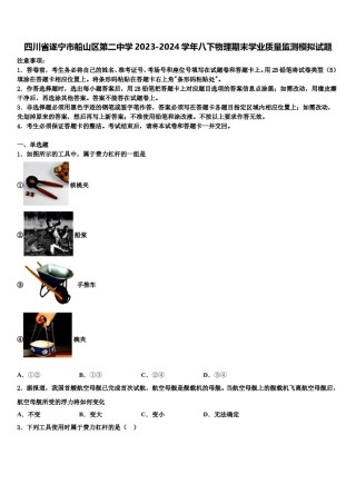四川省遂宁市船山区第二中学2023-2024学年八下物理期末学业质量监测模拟试题含解析.doc