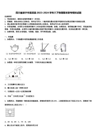 四川省遂宁市蓬溪县2023-2024学年八下物理期末联考模拟试题含解析.doc