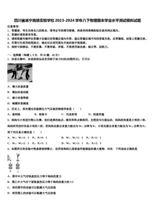 四川省遂宁高级实验学校2023-2024学年八下物理期末学业水平测试模拟试题含解析.doc