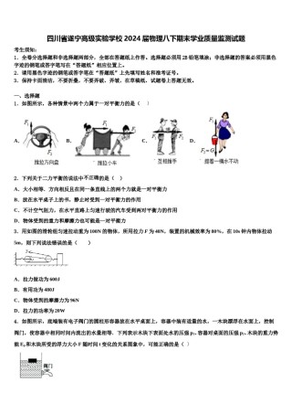四川省遂宁高级实验学校2024届物理八下期末学业质量监测试题含解析.doc