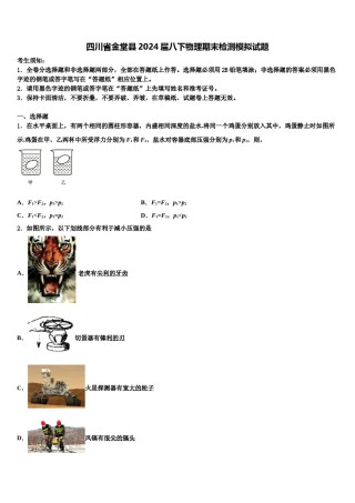 四川省金堂县2024届八下物理期末检测模拟试题含解析.doc
