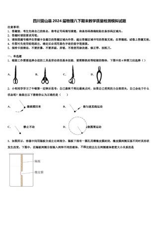 四川营山县2024届物理八下期末教学质量检测模拟试题含解析.doc