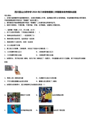 四川营山小桥中学2024年八年级物理第二学期期末统考模拟试题含解析.doc