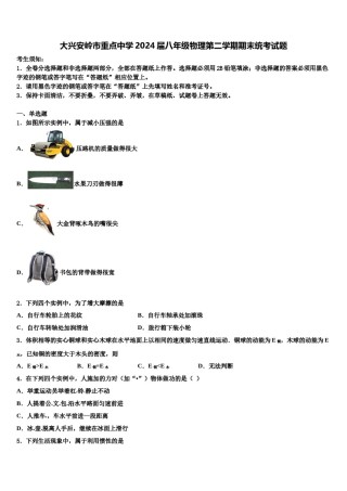 大兴安岭市重点中学2024届八年级物理第二学期期末统考试题含解析.doc