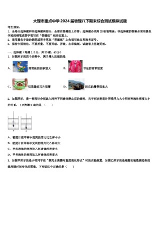 大理市重点中学2024届物理八下期末综合测试模拟试题含解析.doc