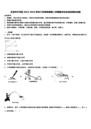 天津市宁河区2023-2024学年八年级物理第二学期期末综合测试模拟试题含解析.doc