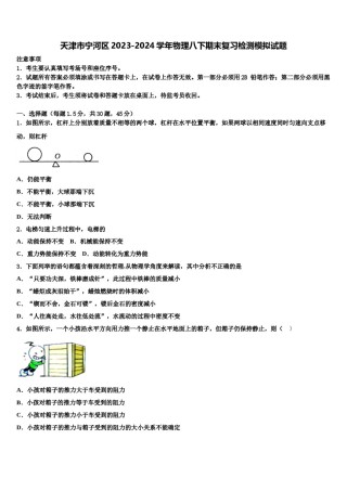 天津市宁河区2023-2024学年物理八下期末复习检测模拟试题含解析.doc