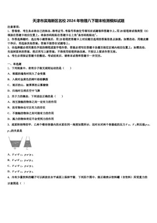 天津市滨海新区名校2024年物理八下期末检测模拟试题含解析.doc