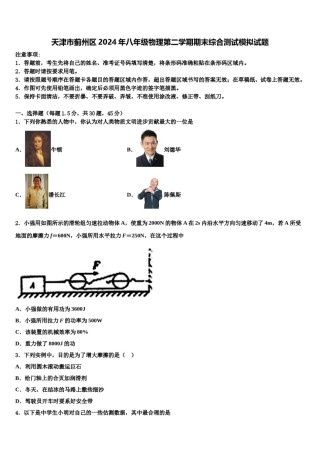 天津市蓟州区2024年八年级物理第二学期期末综合测试模拟试题含解析.doc