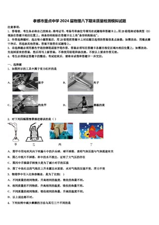 孝感市重点中学2024届物理八下期末质量检测模拟试题含解析.doc