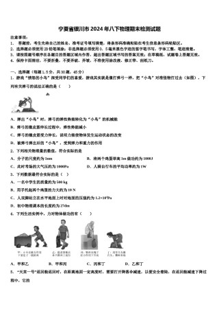 宁夏省银川市2024年八下物理期末检测试题含解析.doc